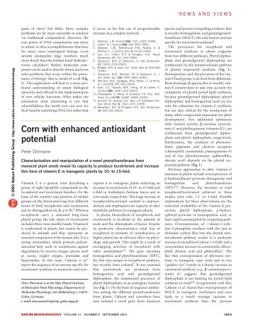 Corn with enhanced antioxidant potential - Biology @ IUPUI