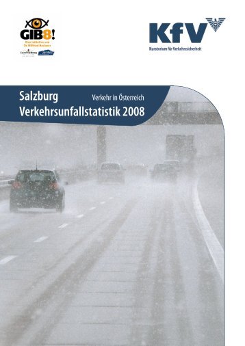 Salzburg Verkehrsunfallstatistik 2008