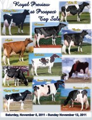 Royal Preview at Prospect Tag Sale - Holstein World Online