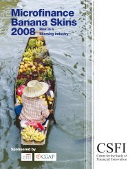 Microfinance Banana Skins 2008 - Citigroup