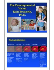 The Development of Vision Rain Bosworth, Ph.D.