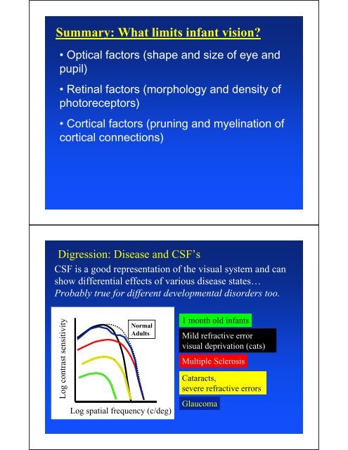 The Development of Vision Rain Bosworth, Ph.D.