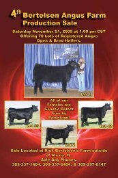 Bertelsen Angus Sale - Dwyer Cattle Services