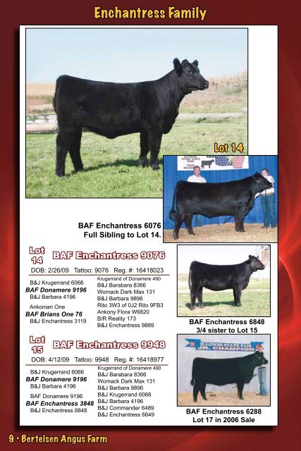 Bertelsen Angus Sale - Dwyer Cattle Services