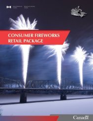 G16-01: Consumer Fireworks Retail Package