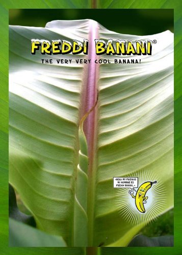 Freddi Banani Katalog 2009