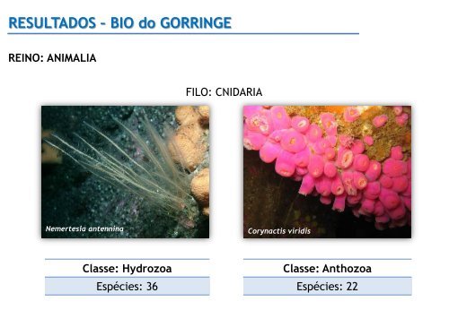 RESULTADOS â BIO do GORRINGE