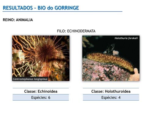 RESULTADOS â BIO do GORRINGE