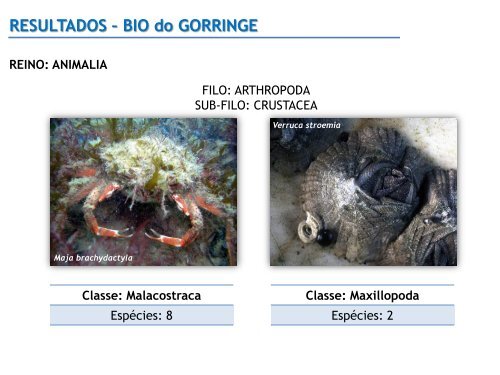 RESULTADOS â BIO do GORRINGE