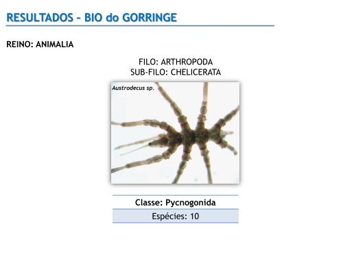 RESULTADOS â BIO do GORRINGE