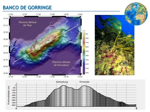 RESULTADOS â BIO do GORRINGE