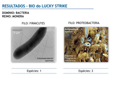 RESULTADOS â BIO do GORRINGE