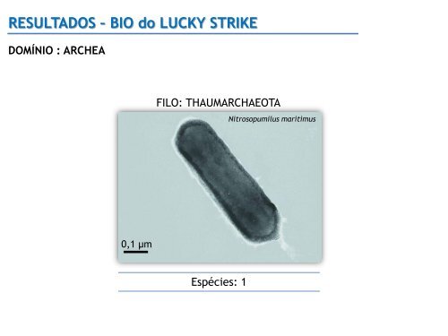 RESULTADOS â BIO do GORRINGE