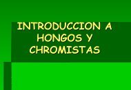 Hongos como agentes causales de enfermedades