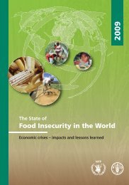 State of Food Insecurity in the World 2009 - FAO.org