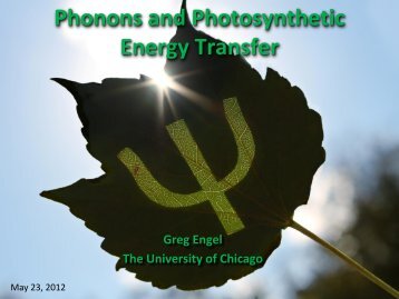 Phonons and Photosynthetic Energy Transfer - Icn