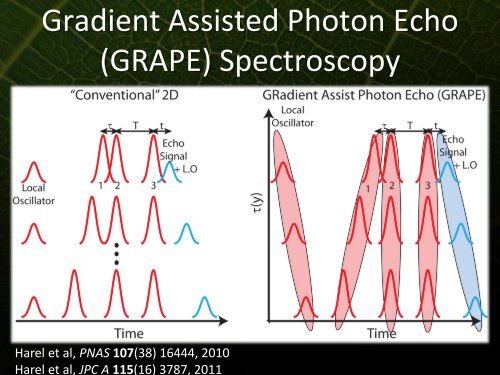 Phonons and Photosynthetic Energy Transfer - Icn