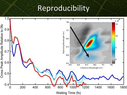 Phonons and Photosynthetic Energy Transfer - Icn