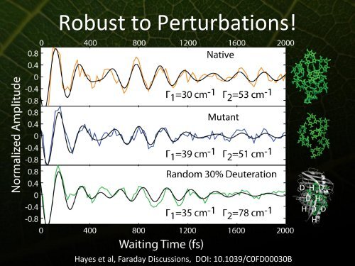 Phonons and Photosynthetic Energy Transfer - Icn