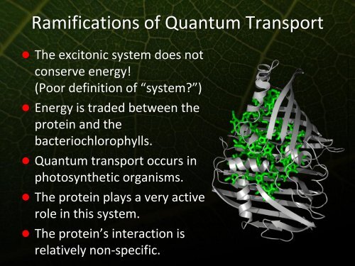 Phonons and Photosynthetic Energy Transfer - Icn