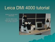 Leica DMI 4000 tutorial