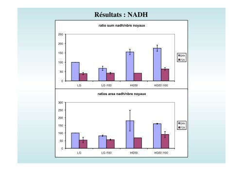 NADH - MeetOchondrie