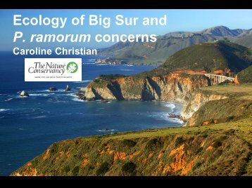 Ecology of Big Sur and P. ramorum concerns - Sudden Oak Death