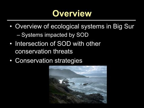 Ecology of Big Sur and P. ramorum concerns - Sudden Oak Death