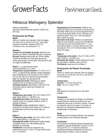 Hibiscus Mahogany Splendor - Pan American Seed Company