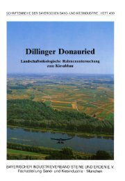 Dillinger Donauried - Bayerischer Industrieverband Steine und ...