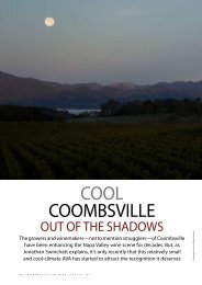 Cool CooMBSVille - Palmaz Vineyards