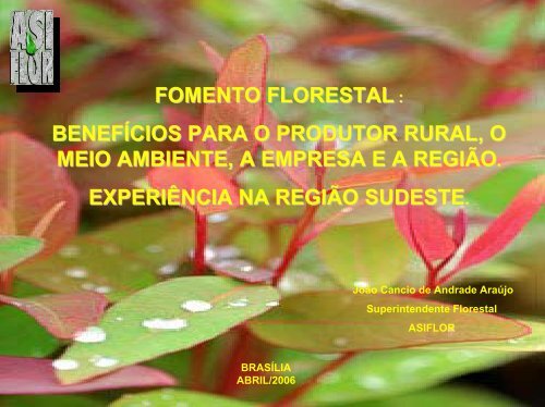 fomento florestal - Associação Brasileira de Produtores de Florestas ...