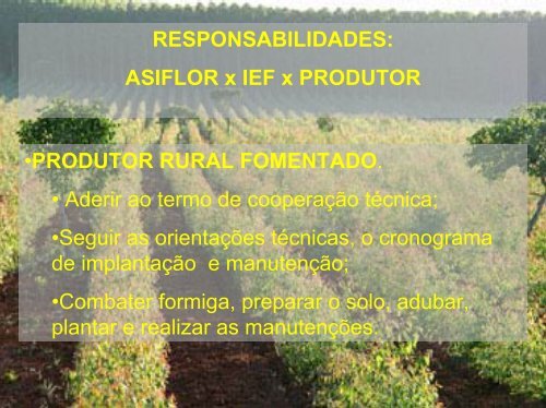 fomento florestal - Associação Brasileira de Produtores de Florestas ...