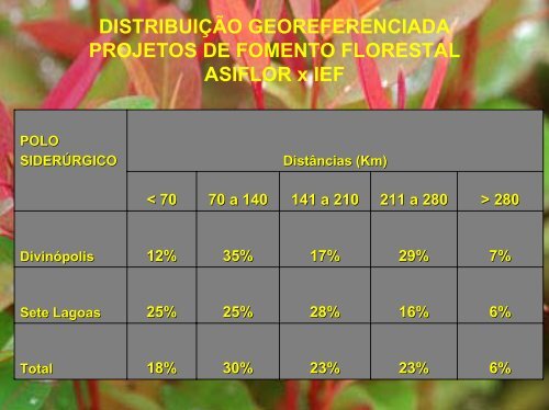 fomento florestal - Associação Brasileira de Produtores de Florestas ...