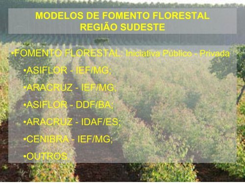 fomento florestal - Associação Brasileira de Produtores de Florestas ...
