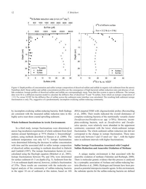 Sulfur BiogeochemistryâPast and Present