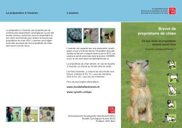 Flyer sur le Brevet de PropriÃ©taire de Chien - Hundehalterbrevet