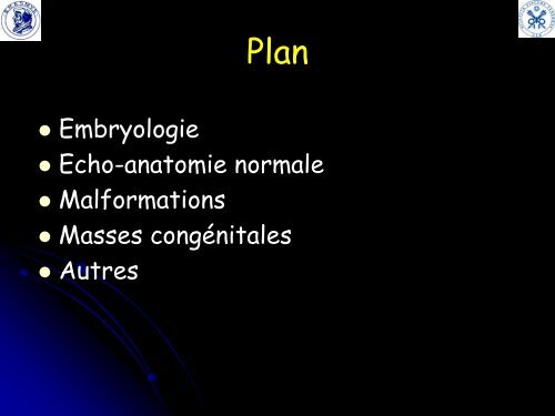 Les surrénales foetales normales et pathologiques : approche ...