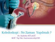 Koledoskopi Ne Zaman YapÄ±lmalÄ±? - Prof. Dr. Sadettin HÃ¼lagÃ¼