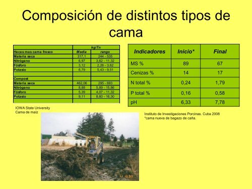 Sistema de Cama Profunda.pdf