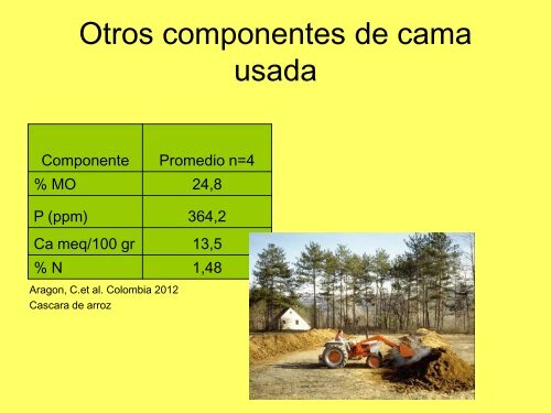 Sistema de Cama Profunda.pdf