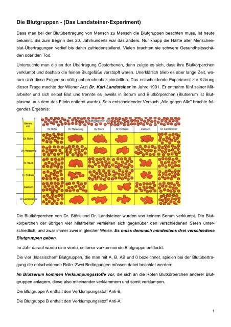 Die Blutgruppen - (Das Landsteiner-Experiment)