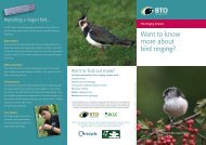 What is Bird Ringing? - British Trust for Ornithology