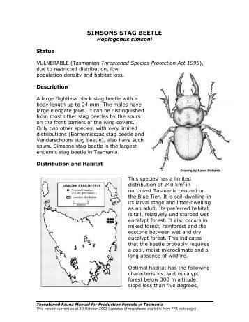 SIMSONS STAG BEETLE