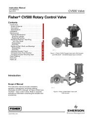 Fisher CV500 Rotary Control Valve