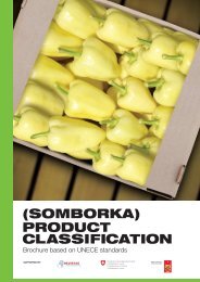 (Somborka) product claSSification - HELVETAS
