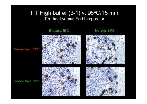 Antigen Retrieval - NordiQC