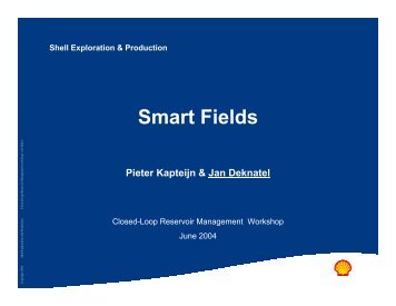 Shell Smart Fields - TU Delft