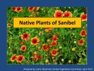 Native Plants of Sanibel - Mysanibel.us