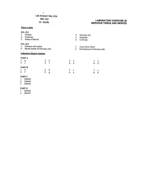 Lab Answer Key12a